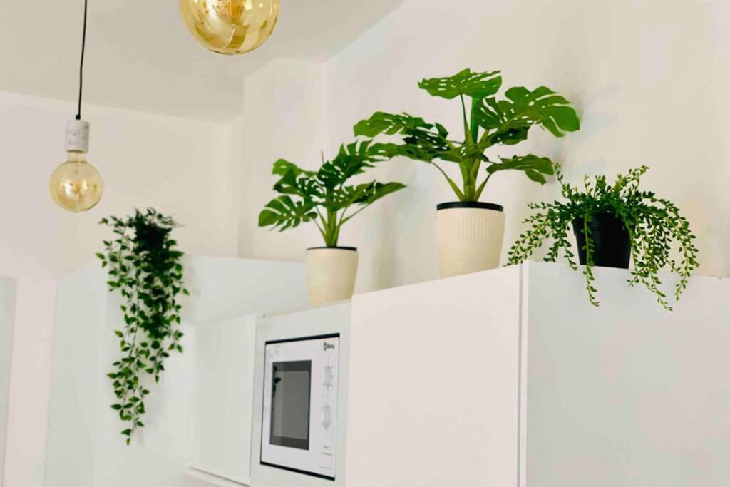 טורמולינוס Roof Top Luxury City Center Apartment By Namaste Elite מראה חיצוני תמונה